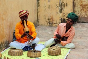 Licensed Online Betting in Jaipur Accept Upi: Complete 2026 Guide for Indian Players